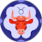 Judy Yacavone Avatar