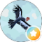 Norene Olsen Avatar
